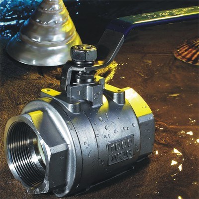 Two Piece Ball Valve