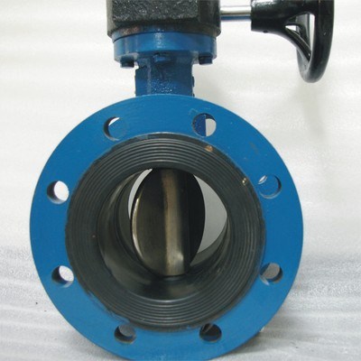 Flange Concentric Butterfly Valve