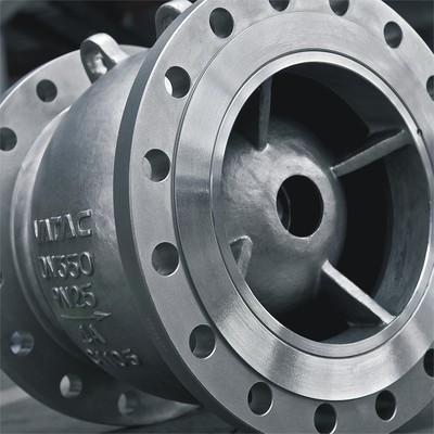 Axial Flow Check Valve